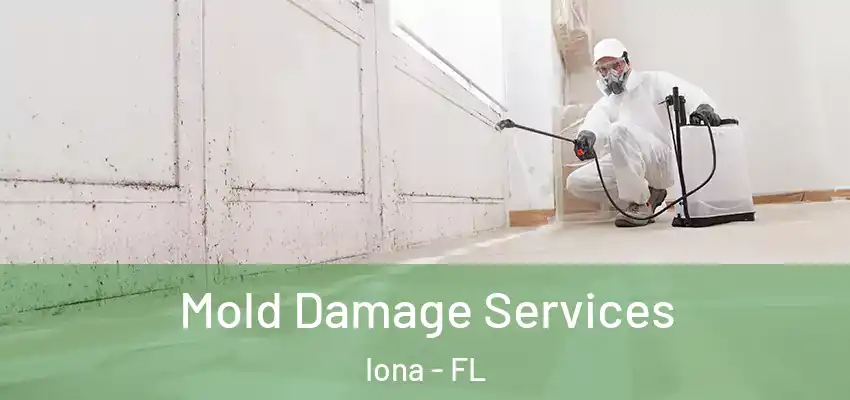 Mold Damage Services Iona - FL