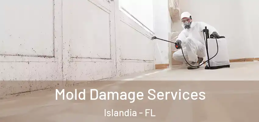 Mold Damage Services Islandia - FL
