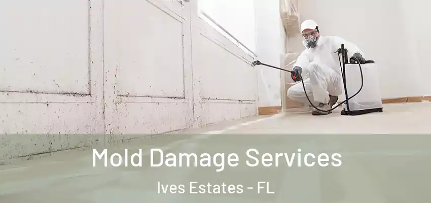 Mold Damage Services Ives Estates - FL