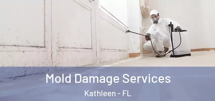 Mold Damage Services Kathleen - FL