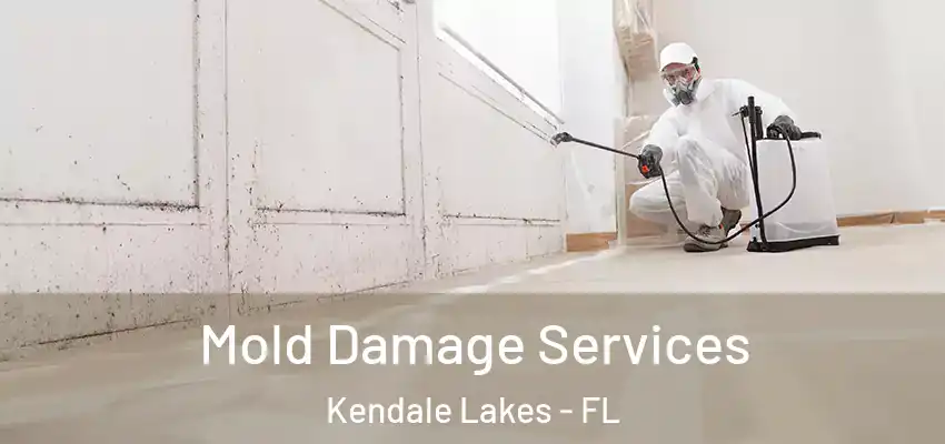 Mold Damage Services Kendale Lakes - FL