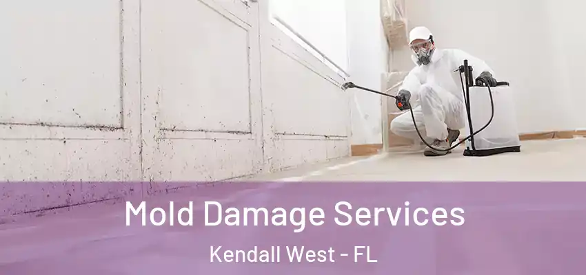 Mold Damage Services Kendall West - FL