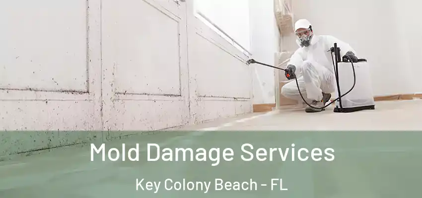  Mold Damage Services Key Colony Beach - FL