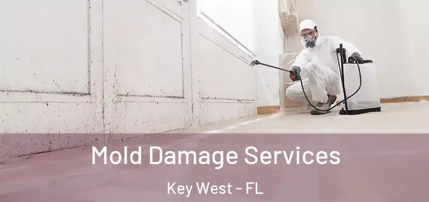 Mold Damage Services Key West - FL