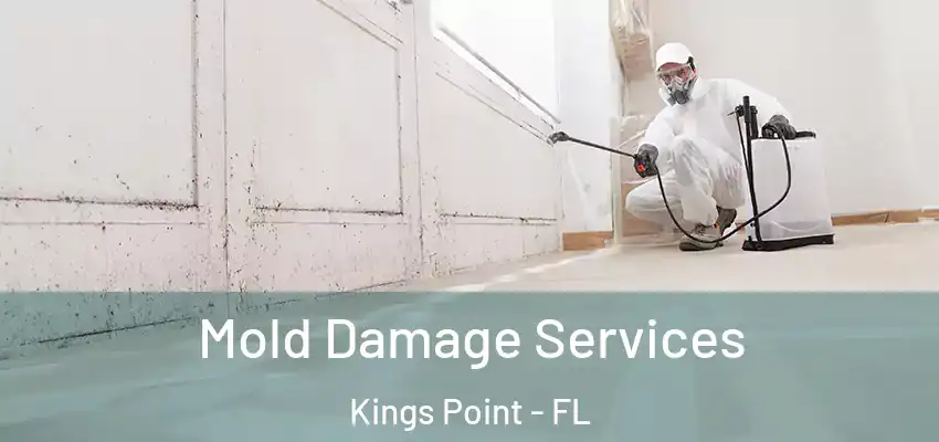  Mold Damage Services Kings Point - FL