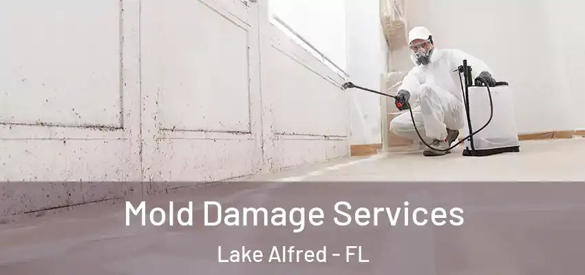 Mold Damage Services Lake Alfred - FL