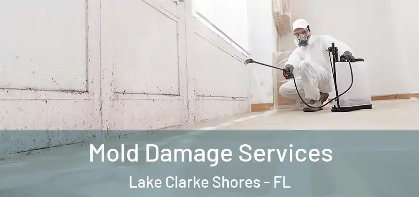  Mold Damage Services Lake Clarke Shores - FL