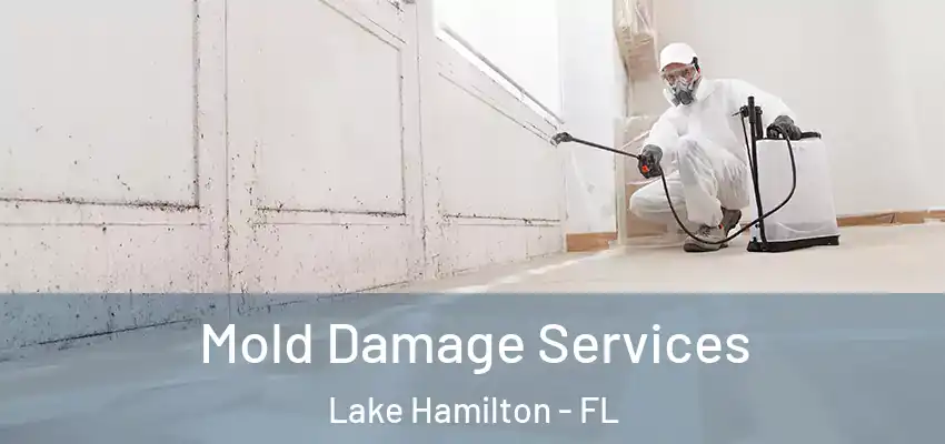  Mold Damage Services Lake Hamilton - FL