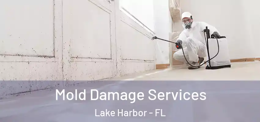  Mold Damage Services Lake Harbor - FL