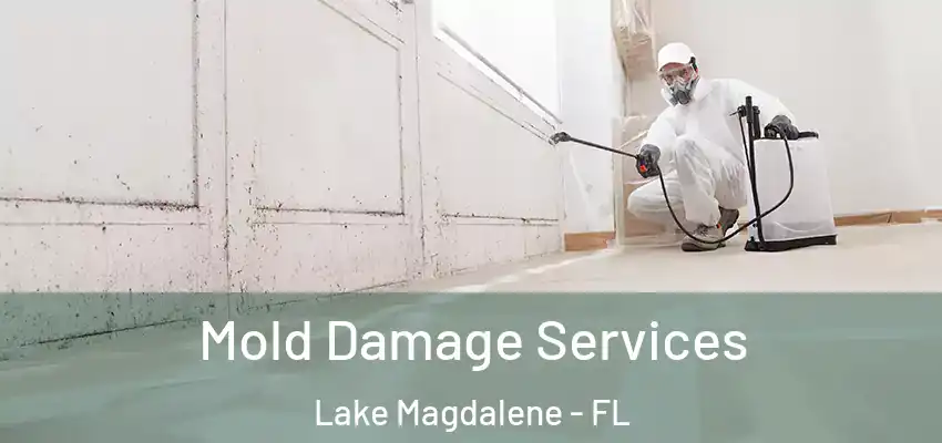 Mold Damage Services Lake Magdalene - FL