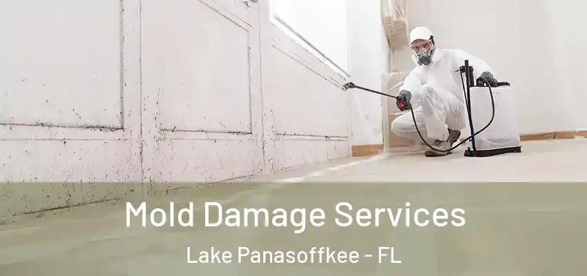 Mold Damage Services Lake Panasoffkee - FL