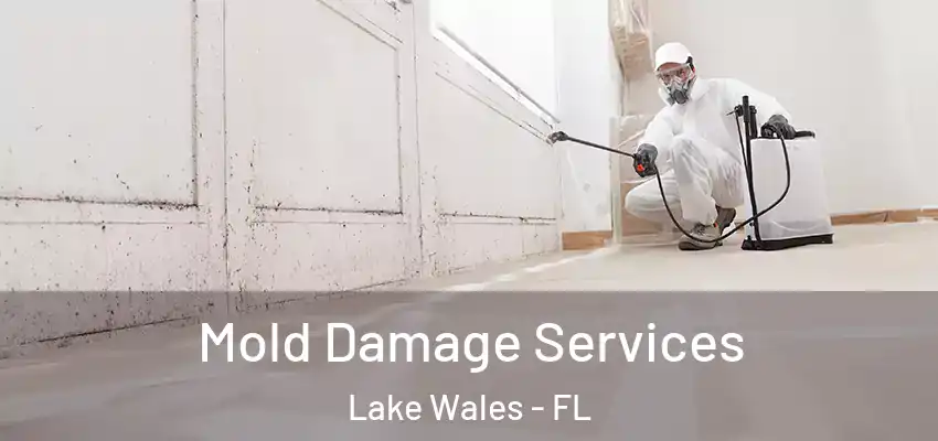 Mold Damage Services Lake Wales - FL