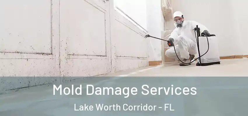  Mold Damage Services Lake Worth Corridor - FL