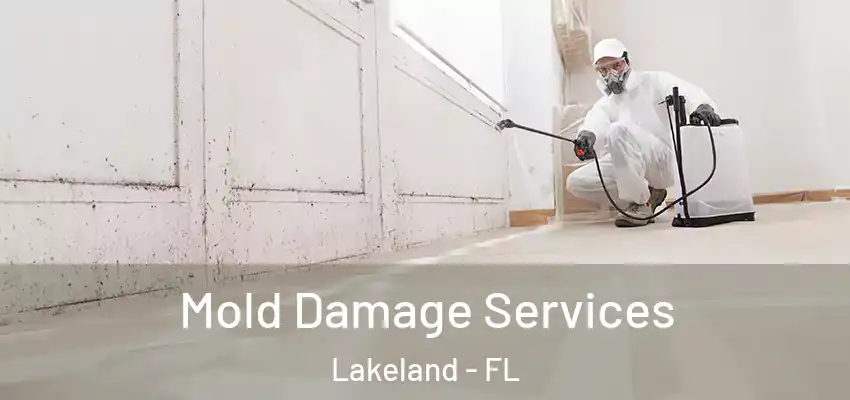 Mold Damage Services Lakeland - FL