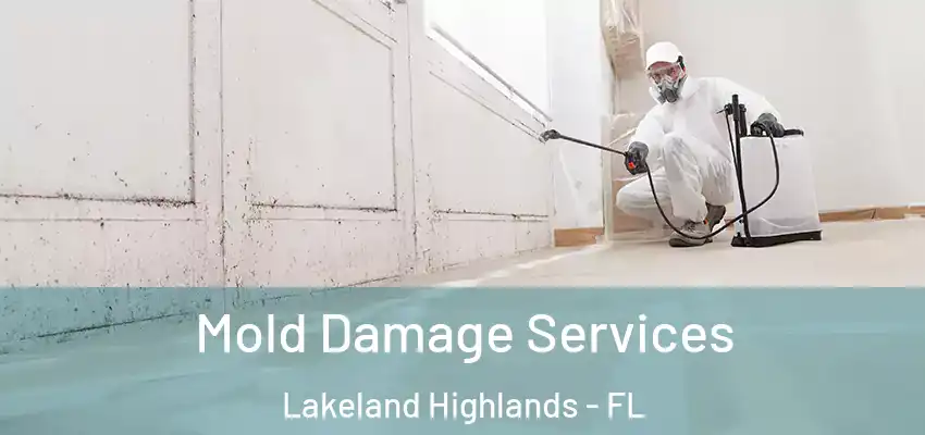  Mold Damage Services Lakeland Highlands - FL