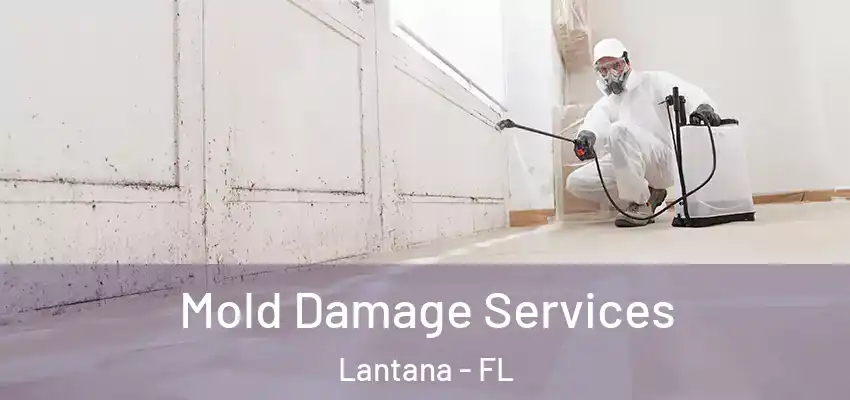  Mold Damage Services Lantana - FL