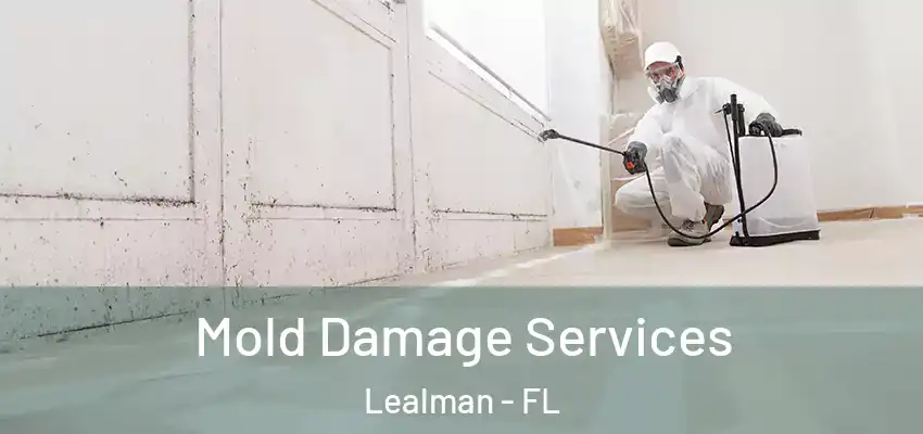 Mold Damage Services Lealman - FL