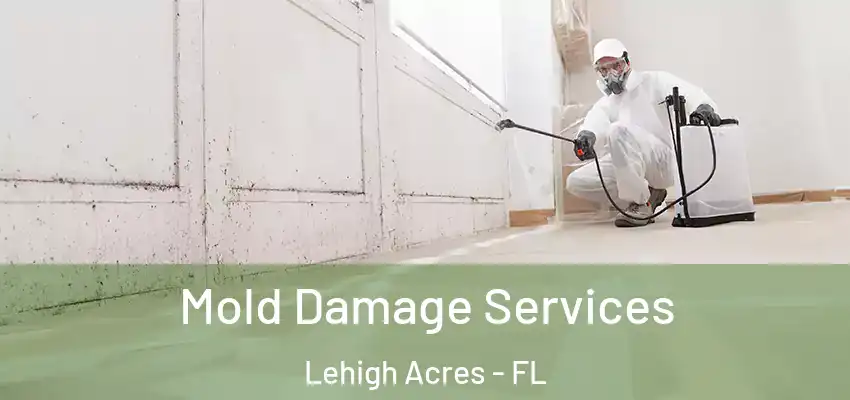 Mold Damage Services Lehigh Acres - FL