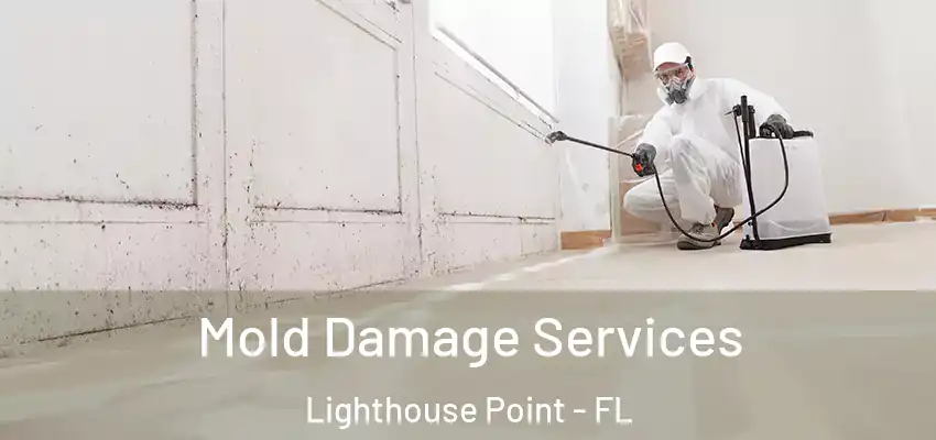 Mold Damage Services Lighthouse Point - FL