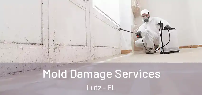Mold Damage Services Lutz - FL