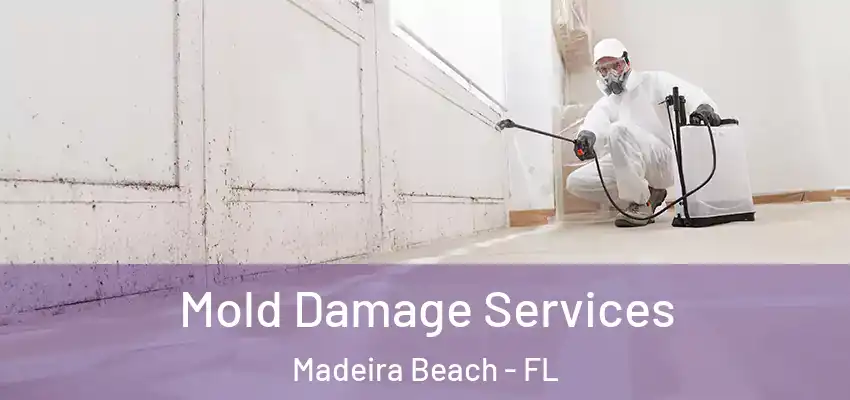 Mold Damage Services Madeira Beach - FL