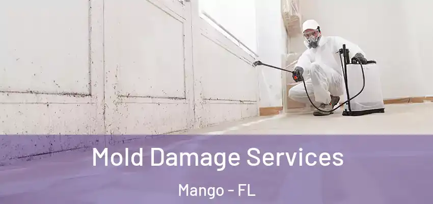 Mold Damage Services Mango - FL