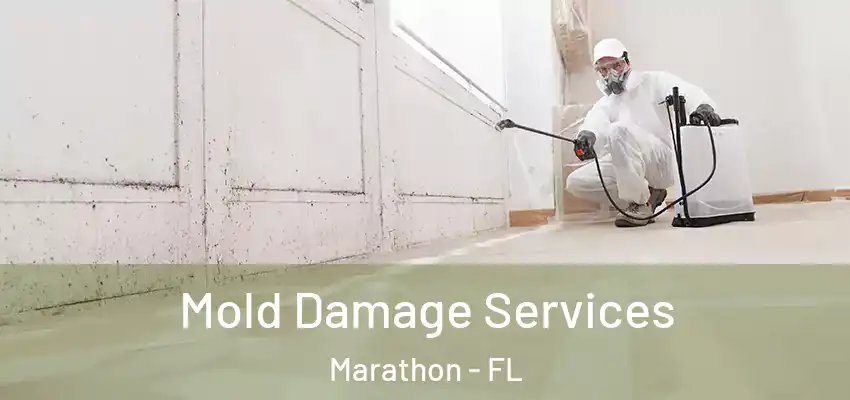 Mold Damage Services Marathon - FL