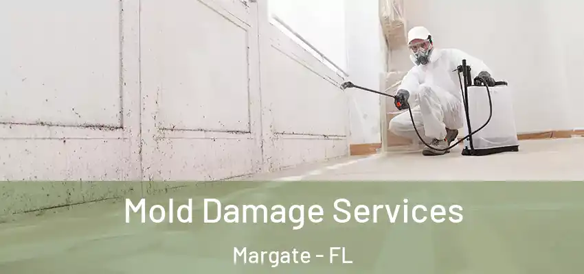  Mold Damage Services Margate - FL