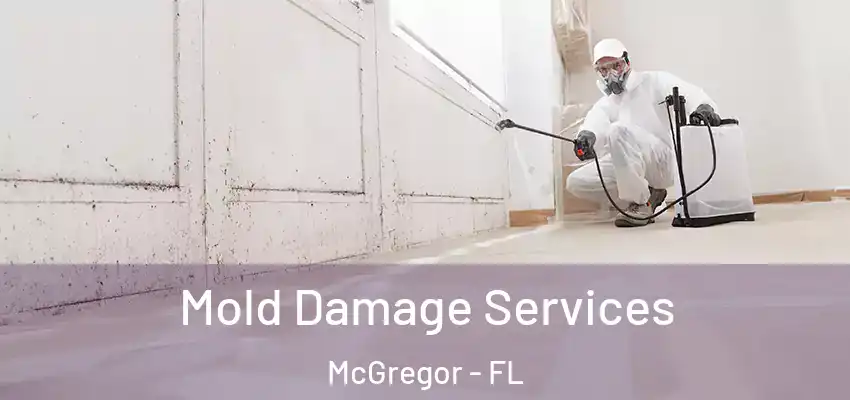 Mold Damage Services McGregor - FL