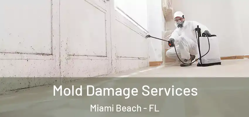 Mold Damage Services Miami Beach - FL