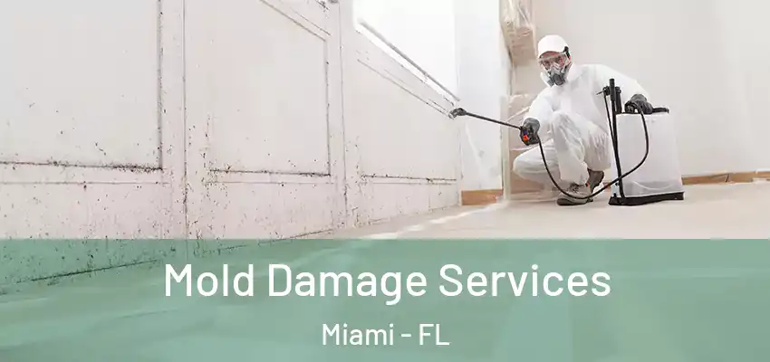 Mold Damage Services Miami - FL