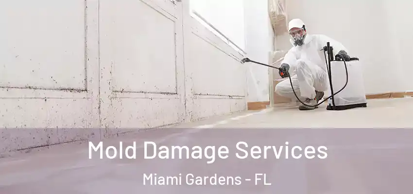 Mold Damage Services Miami Gardens - FL