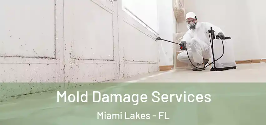  Mold Damage Services Miami Lakes - FL
