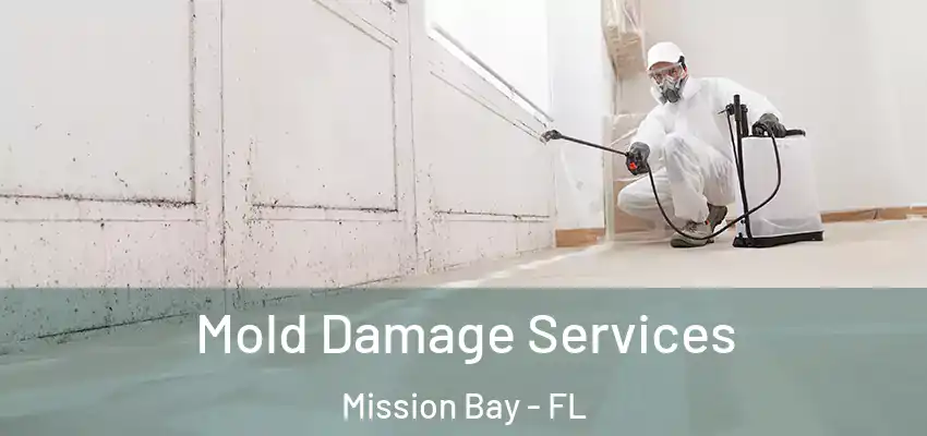 Mold Damage Services Mission Bay - FL