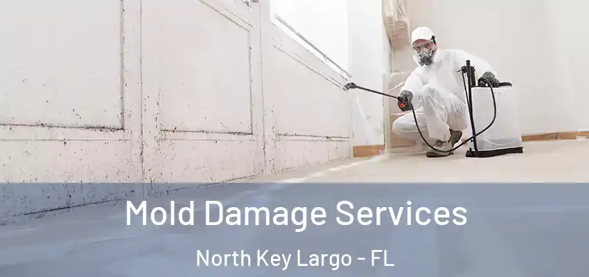 Mold Damage Services North Key Largo - FL