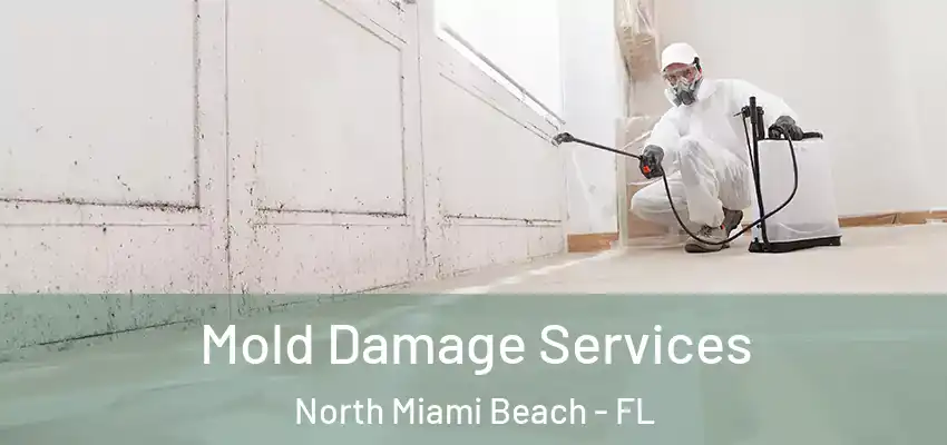 Mold Damage Services North Miami Beach - FL