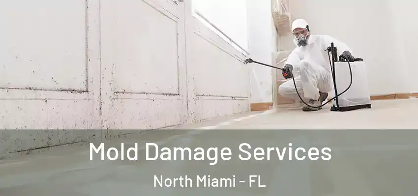 Mold Damage Services North Miami - FL