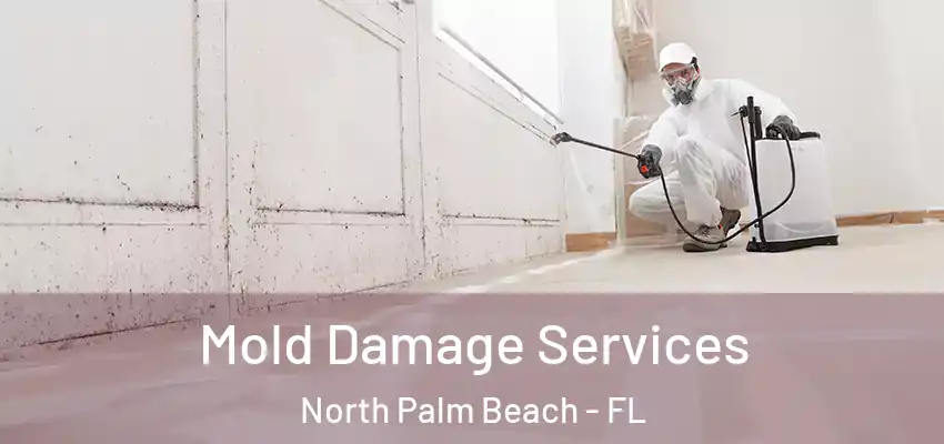  Mold Damage Services North Palm Beach - FL