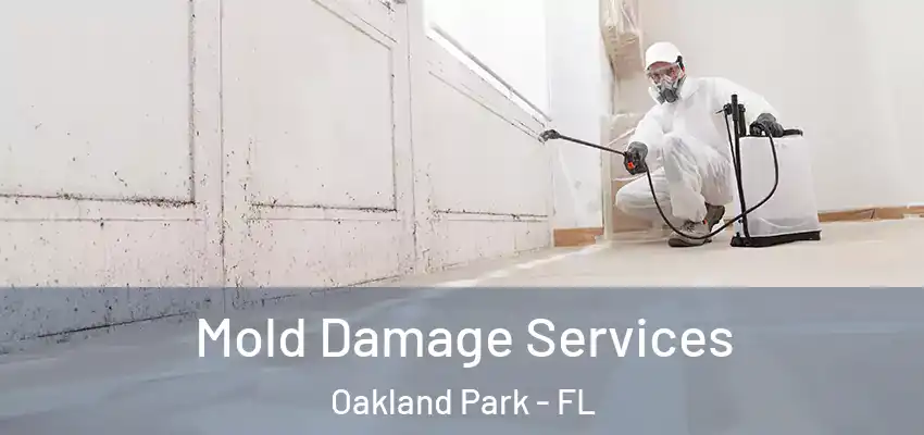  Mold Damage Services Oakland Park - FL