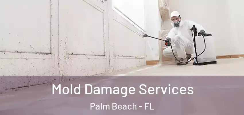  Mold Damage Services Palm Beach - FL