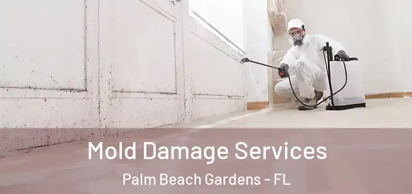  Mold Damage Services Palm Beach Gardens - FL