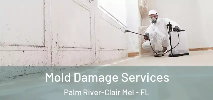  Mold Damage Services Palm River-Clair Mel - FL