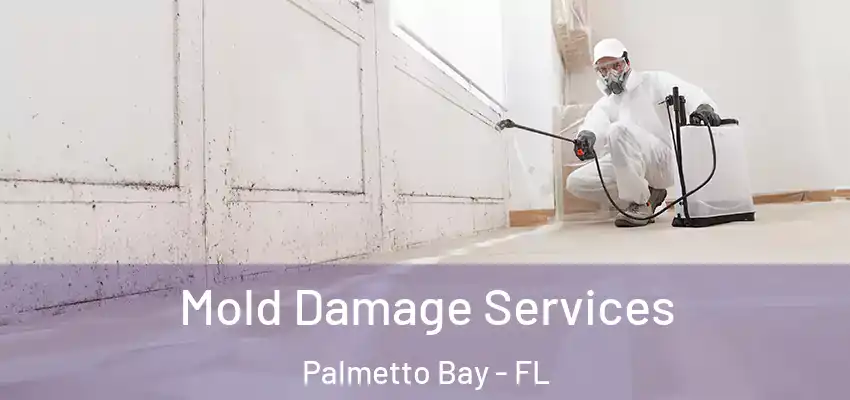  Mold Damage Services Palmetto Bay - FL