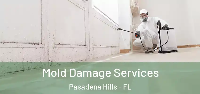 Mold Damage Services Pasadena Hills - FL