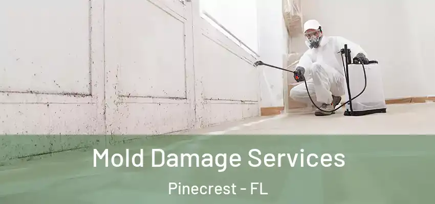 Mold Damage Services Pinecrest - FL