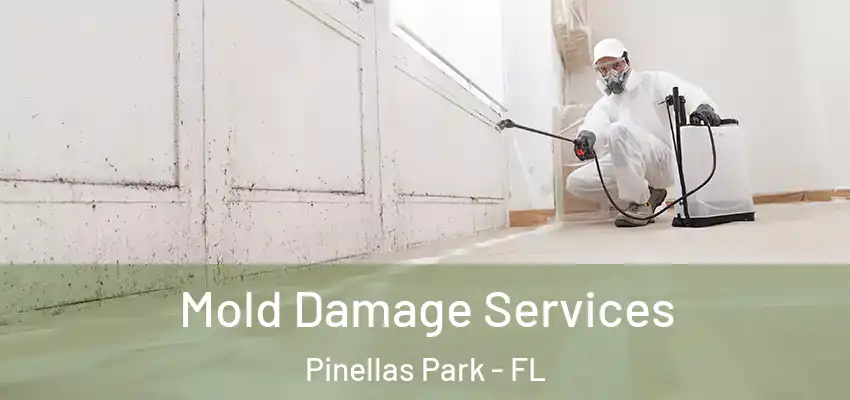 Mold Damage Services Pinellas Park - FL