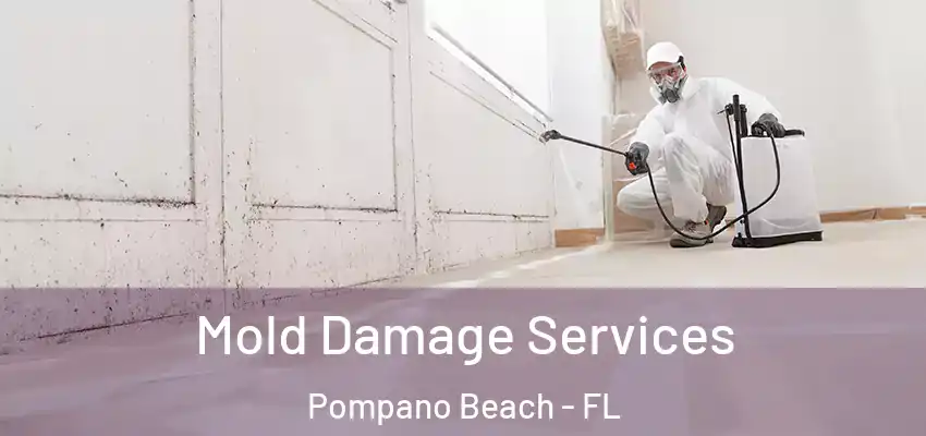  Mold Damage Services Pompano Beach - FL