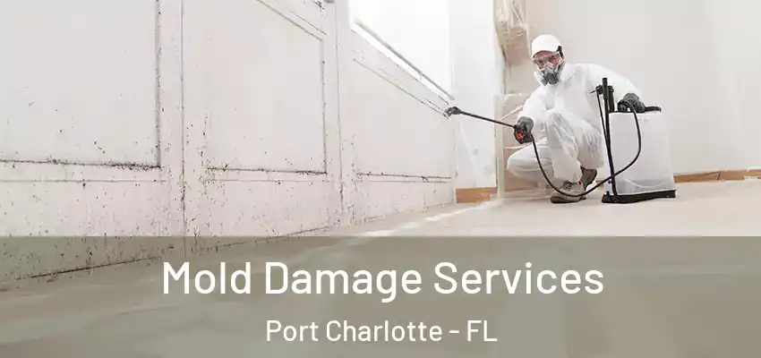  Mold Damage Services Port Charlotte - FL