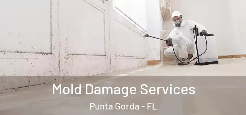 Mold Damage Services Punta Gorda - FL