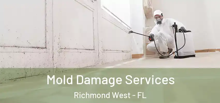 Mold Damage Services Richmond West - FL